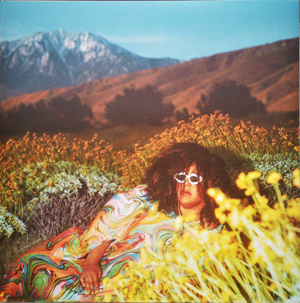 Brittany Howard- What Now - LP