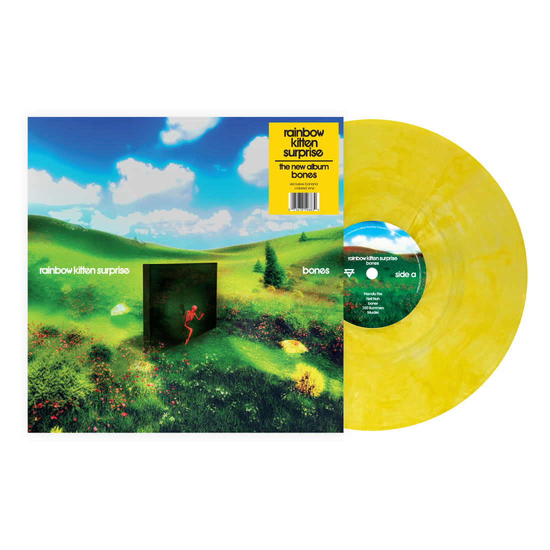 Rainbow Kitten Surprise- bones (Indie Exclusive Banana Vinyl) - LP