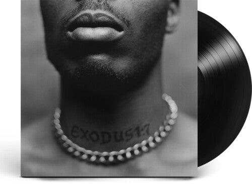 DMX- Exodus - LP