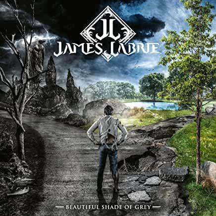 James LaBrie (Dream Theater)-  Beautiful Shade Of Grey - LP