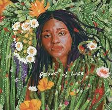 Joy Oladokun- Proof Of Life (Indie Exclusive Vinyl) (Signed Insert) - LP