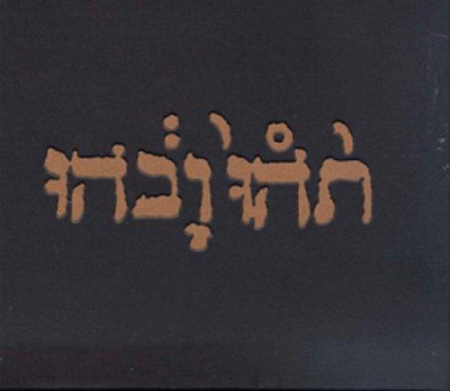 Godspeed You! Black Emperor- Slow Riot For New Zero Kanada E.P. - LP