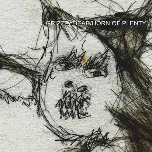Grizzly Bear- Horn Of Plenty (Cloudy Clear Vinyl) - LP