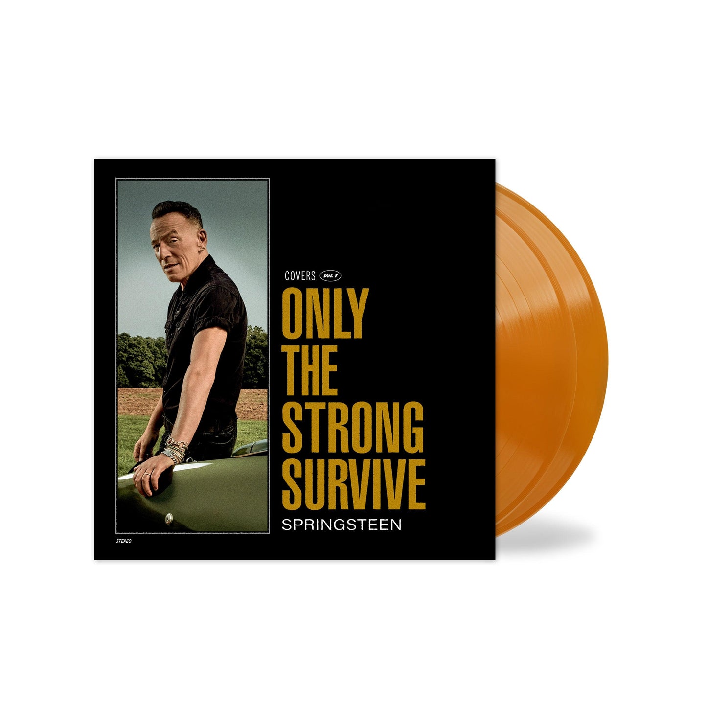 Bruce Springsteen- Only The Strong Survive (Indie Exclusive Orbit Orange Vinyl) - LP