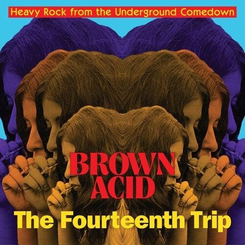 Various- Brown Acid: Fourteenth Trip - LP