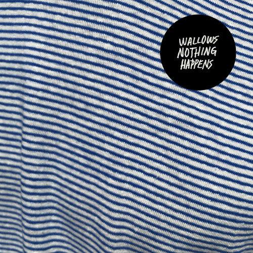Wallows- Nothing Happens - LP