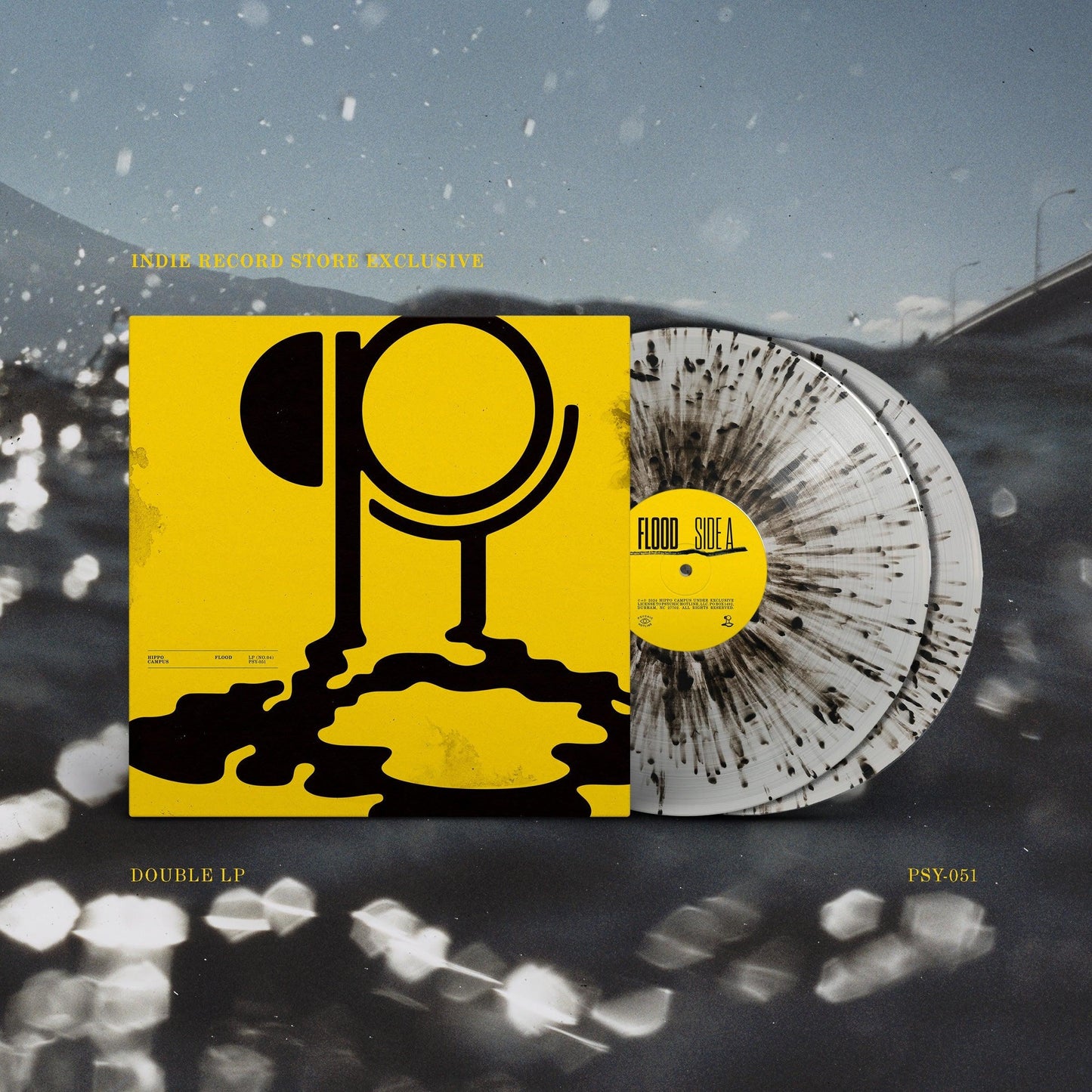 Hippo Campus- Flood (Indie Exclusive Vinyl) (Clear Galaxy 2x Vinyl LP) - LP