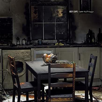 Joey Cape (Lagwagon)- A Good Year To Forget - LP